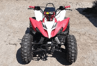 купить Квадроцикл MOTOLAND 150S Б/У в Москве - фото 