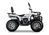 купить Квадроцикл YACOTA Viking 200 PRO в Москве - фото 