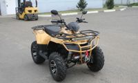 купить Квадроцикл IRBIS ATV 250 Premium в Москве - фото 