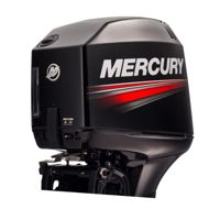 купить 2х-тактный лодочный мотор MERCURY ME 50 ELPTO в Москве - фото 
