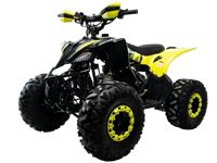 купить Квадроцикл MOTOLAND VOX125 Raptor в Москве - фото 