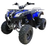 купить Квадроцикл MOTAX ATV Grizlik 200 в Москве - фото 