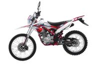 купить Мотоцикл кроссовый эндуро WELS MX-250 R в Москве - фото 
