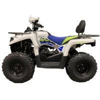 купить Квадроцикл MOTOLAND Shark 200 в Москве - фото 