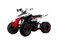 купить Квадроцикл MOTOLAND RALLY 250 в Москве - фото 