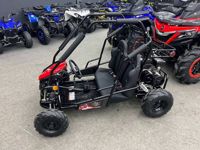 купить Багги SHARMAX Тигр 250 в Москве - фото 