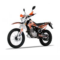 купить Мотоцикл кроссовый эндуро ROCKOT RS250 Firestorm (250cc, 172FMM, 21/18, ЭПТС) в Москве - фото 