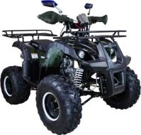 купить Квадроцикл AVANTIS Hunter 8+ 125 2018 в Москве - фото 