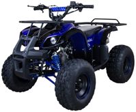 купить Квадроцикл AVANTIS Classic 8 125 в Москве - фото 