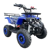 купить Квадроцикл WELS Thunder mini 2T в Москве - фото 