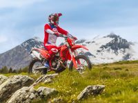 купить Мотоцикл кроссовый эндуро BETA RR 4T 430 X-PRO в Москве - фото 