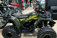 купить Квадроцикл YAMAHA Shark 175 в Москве - фото 