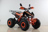 купить Квадроцикл MOTAX ATV T-Rex Super LUX 50 cc в Москве - фото 