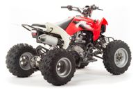 купить Квадроцикл MOTOLAND 125S (2020 Г.) в Москве - фото 