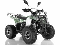 купить Квадроцикл WELS Thunder 125 Lux в Москве - фото 