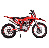 купить Мотоцикл кроссовый эндуро ROCKOT GS7L Strive (250cc, 171FMM (YB250R), 21/18) в Москве - фото 