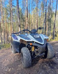 купить Квадроцикл BALTMOTORS Jam 100 (2022) Б/У в Москве - фото 