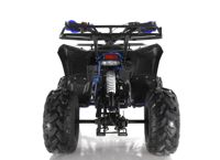 купить Квадроцикл WELS Thunder EVO в Москве - фото 