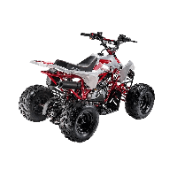 купить Квадроцикл ACCESS AMS 110 MiniSport в Москве - фото 