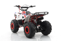 купить Квадроцикл MOTAX Grizlik A110 в Москве - фото 