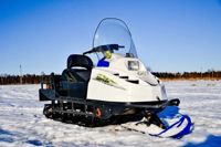 купить Снегоход ШИХАН Д-1; Д-1Е в Москве - фото 