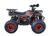 купить Квадроцикл YACOTA Vektor 125 в Москве - фото 