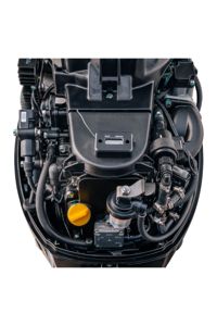 купить 4х-тактный лодочный мотор REEF RIDER RREF20FES в Москве - фото 