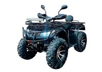 купить Квадроцикл  Hammer 250 EFI в Москве - фото 