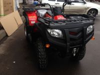 купить Квадроцикл ARMADA ATV 250L в Москве - фото 