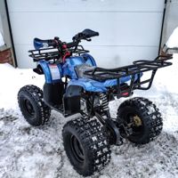 купить Квадроцикл MOTOLAND 125 Fox A в Москве - фото 