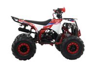 купить Квадроцикл MOTAX Grizlik A125 в Москве - фото 