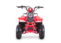 купить Квадроцикл SHARMAX 130 Cross в Москве - фото 