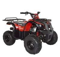 купить Квадроцикл ABM Ninja 110 в Москве - фото 