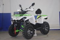 купить Квадроцикл AVANTIS Forester 200 в Москве - фото 