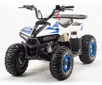 купить Квадроцикл MZ Eagle 110 в Москве - фото 