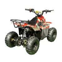 купить Квадроцикл MZ Grizzly 110 в Москве - фото 