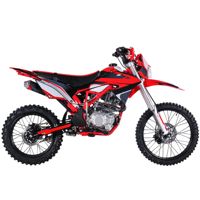 купить Мотоцикл кроссовый эндуро MIKILON Defender 300 в Москве - фото 