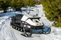 купить Снегоход БТС Arctic 4Т Лонг 20 л.с. в Москве - фото 