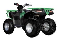 купить Квадроцикл SHARMAX Luxe 250 (2024) в Москве - фото 