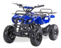 купить Квадроцикл MOTAX ATV Mini Grizlik X-16 в Москве - фото 