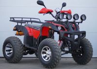 купить Квадроцикл STALKER 250 Lux в Москве - фото 