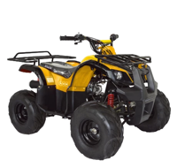 купить Квадроцикл ABM Ninja 110 в Москве - фото 