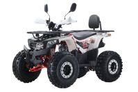 купить Квадроцикл YACOTA Dazzle LUX в Москве - фото 