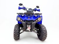 купить Квадроцикл MOTAX Grizlik 200 ULTRA BIG в Москве - фото 