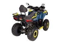 купить Квадроцикл AVANTIS Ray 200 Premium в Москве - фото 
