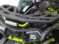 купить Квадроцикл MOTOLAND 125 Wild X Pro в Москве - фото 