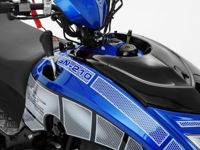 купить Снегоход SHARMAX SN-210 Forester Classic в Москве - фото 