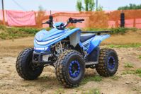 купить Квадроцикл SHARMAX Cross 180 RX в Москве - фото 