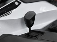 купить Снегоход BRP Ski-Doo Expedition LE 20″ 900 Ace (2023) в Москве - фото 