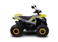 купить Квадроцикл AVANTIS Ray 8 Lux в Москве - фото 